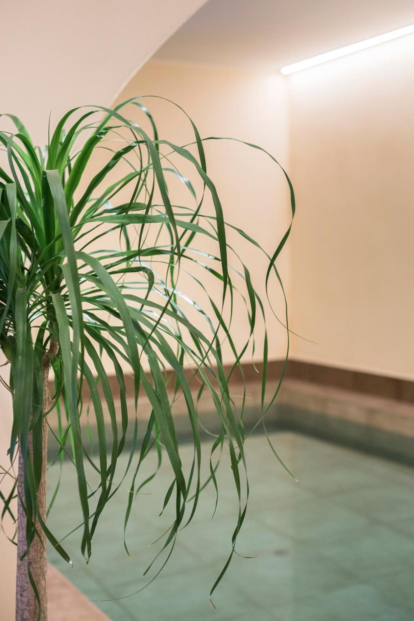 Agave In Citta Hotel Livorno Exterior photo
